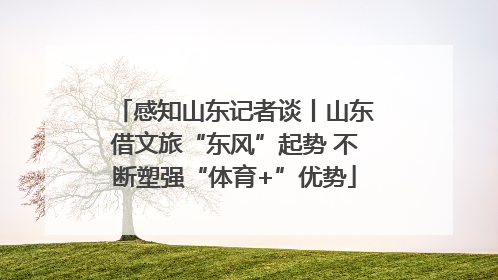 感知山东记者谈丨山东借文旅“东风”起势 不断塑强“体育+”优势