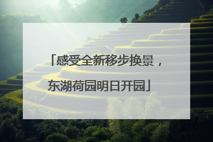 感受全新移步换景，东湖荷园明日开园