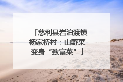 慈利县岩泊渡镇杨家桥村：山野菜变身“致富菜”