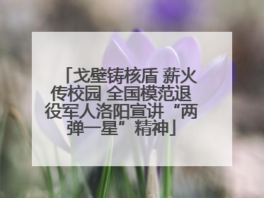 戈壁铸核盾 薪火传校园 全国模范退役军人洛阳宣讲“两弹一星”精神