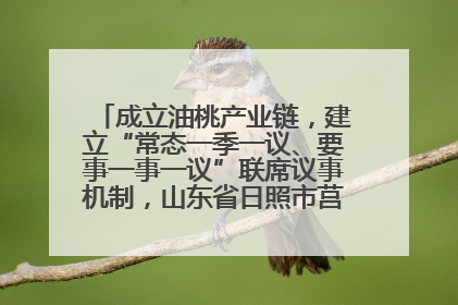 成立油桃产业链，建立“常态一季一议、要事一事一议”联席议事机制，山东省日照市莒县果庄镇——13个党小组“全周期”育果