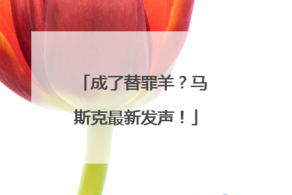 成了替罪羊？马斯克最新发声！