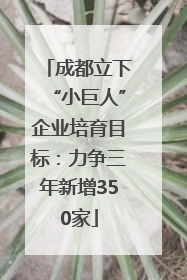 成都立下“小巨人”企业培育目标：力争三年新增350家