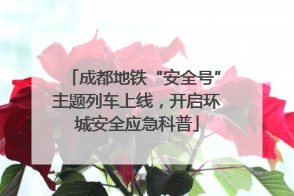 成都地铁“安全号”主题列车上线，开启环城安全应急科普