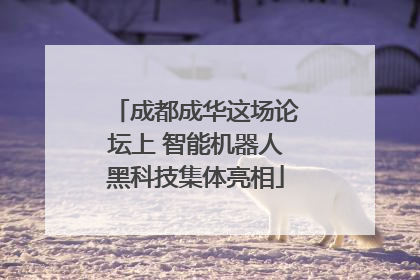 成都成华这场论坛上 智能机器人黑科技集体亮相