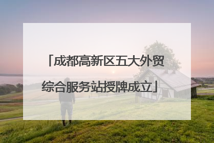 成都高新区五大外贸综合服务站授牌成立