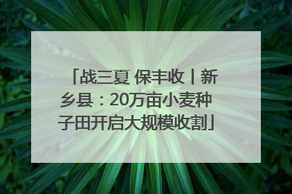 战三夏 保丰收丨新乡县：20万亩小麦种子田开启大规模收割