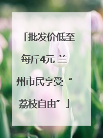 批发价低至每斤4元 兰州市民享受“荔枝自由”