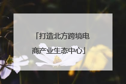 打造北方跨境电商产业生态中心