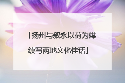 扬州与叙永以荷为媒续写两地文化佳话