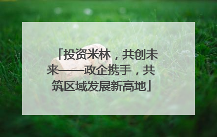 投资米林，共创未来——政企携手，共筑区域发展新高地
