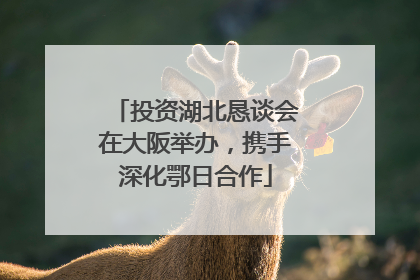 投资湖北恳谈会在大阪举办，携手深化鄂日合作