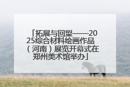 拓展与回望——2025综合材料绘画作品（河南）展览开幕式在郑州美术馆举办