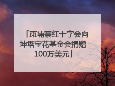 柬埔寨红十字会向坤塔宝花基金会捐赠100万美元