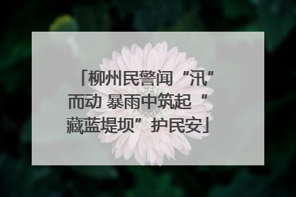 柳州民警闻“汛”而动 暴雨中筑起“藏蓝堤坝”护民安