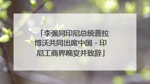 李强同印尼总统普拉博沃共同出席中国－印尼工商界晚宴并致辞