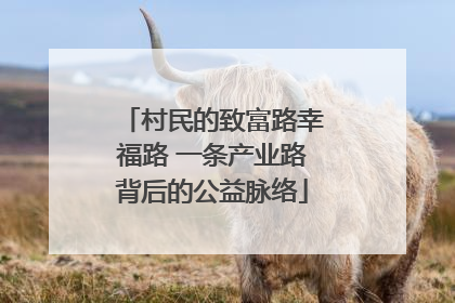 村民的致富路幸福路 一条产业路背后的公益脉络