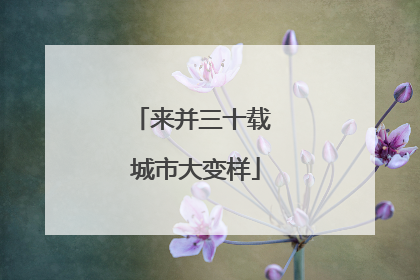 来并三十载 城市大变样