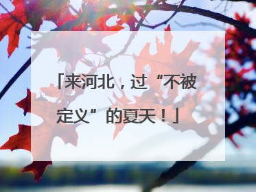 来河北，过“不被定义”的夏天！