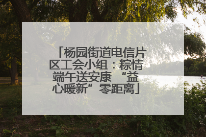 杨园街道电信片区工会小组：粽情端午送安康 “益心暖新”零距离