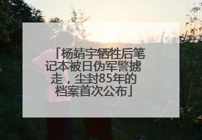 杨靖宇牺牲后笔记本被日伪军警掳走，尘封85年的档案首次公布
