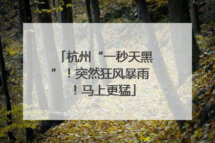 杭州“一秒天黑”！突然狂风暴雨！马上更猛