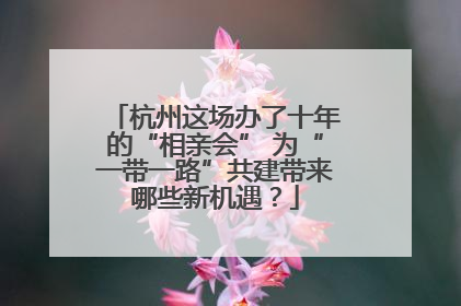 杭州这场办了十年的“相亲会” 为“一带一路”共建带来哪些新机遇？