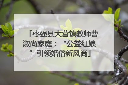 枣强县大营镇教师曹淑尚家庭：“公益红娘”引领婚俗新风尚