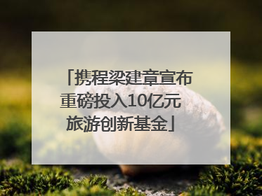 携程梁建章宣布重磅投入10亿元旅游创新基金