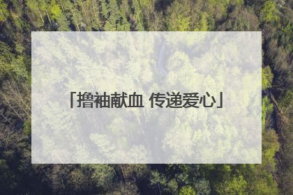 撸袖献血 传递爱心