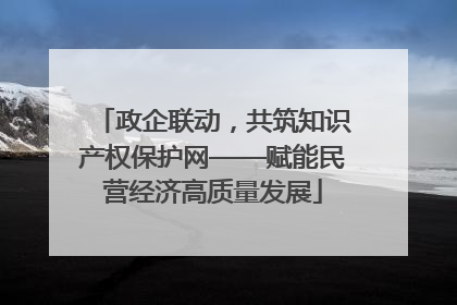 政企联动，共筑知识产权保护网——赋能民营经济高质量发展