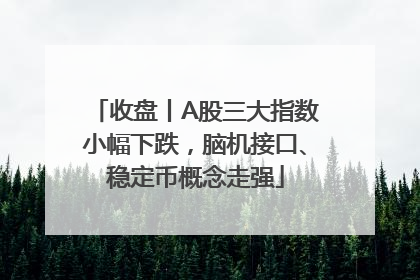 收盘丨A股三大指数小幅下跌，脑机接口、稳定币概念走强