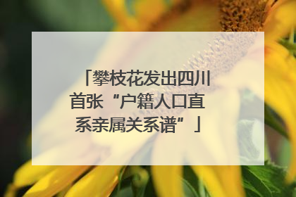 攀枝花发出四川首张“户籍人口直系亲属关系谱”