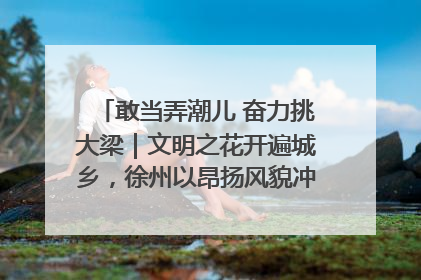 敢当弄潮儿 奋力挑大梁｜文明之花开遍城乡，徐州以昂扬风貌冲刺“万亿之城”
