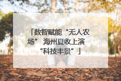 数智赋能“无人农场” 海州夏收上演“科技丰景”