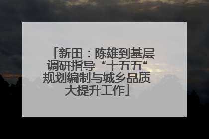 新田：陈雄到基层调研指导“十五五”规划编制与城乡品质大提升工作