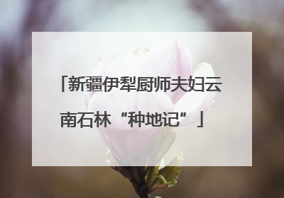 新疆伊犁厨师夫妇云南石林“种地记”