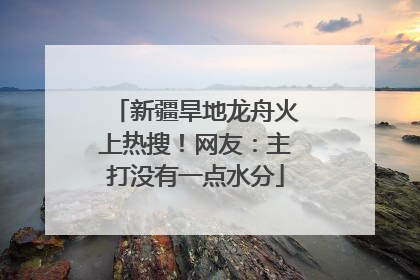 新疆旱地龙舟火上热搜！网友：主打没有一点水分