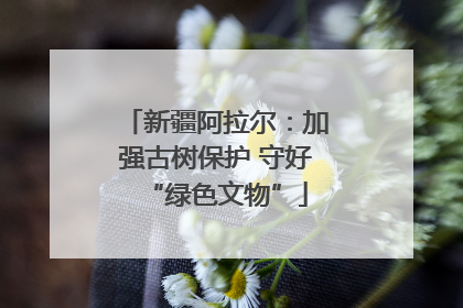 新疆阿拉尔：加强古树保护 守好“绿色文物”