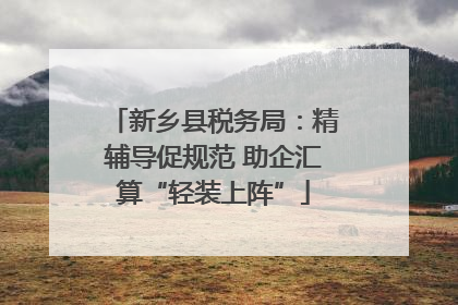 新乡县税务局：精辅导促规范 助企汇算“轻装上阵”