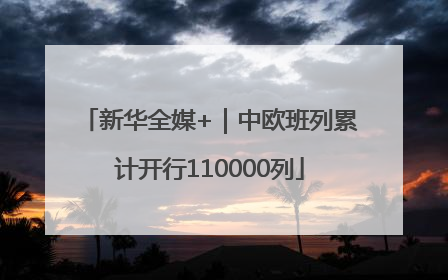 新华全媒+｜中欧班列累计开行110000列