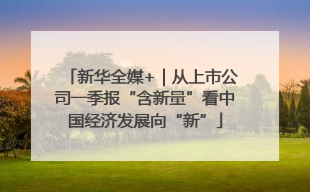 新华全媒+｜从上市公司一季报“含新量”看中国经济发展向“新”