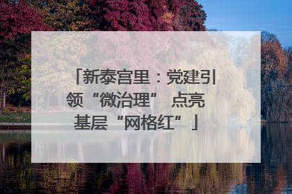 新泰宫里：党建引领“微治理” 点亮基层“网格红”