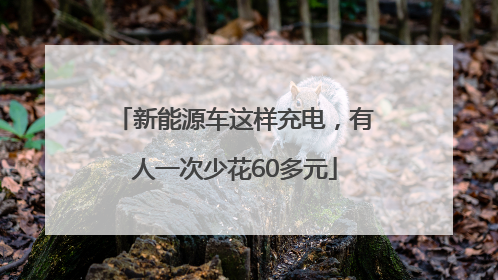 新能源车这样充电，有人一次少花60多元