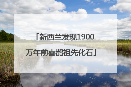 新西兰发现1900万年前喜鹊祖先化石