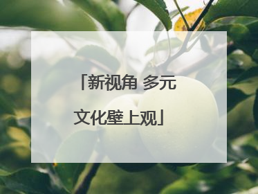 新视角 多元文化壁上观