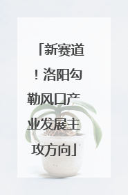 新赛道！洛阳勾勒风口产业发展主攻方向