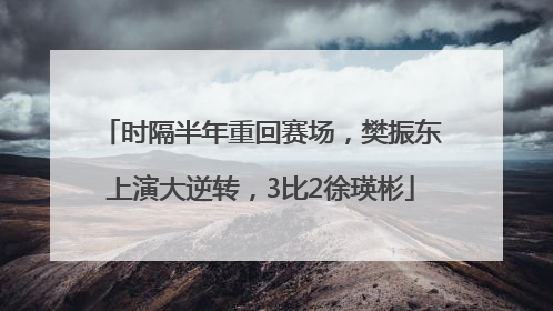 时隔半年重回赛场，樊振东上演大逆转，3比2徐瑛彬