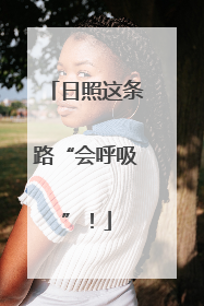 日照这条路“会呼吸”！