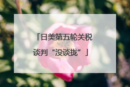 日美第五轮关税谈判“没谈拢”